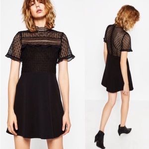 Zara Black Lace Mini Dress